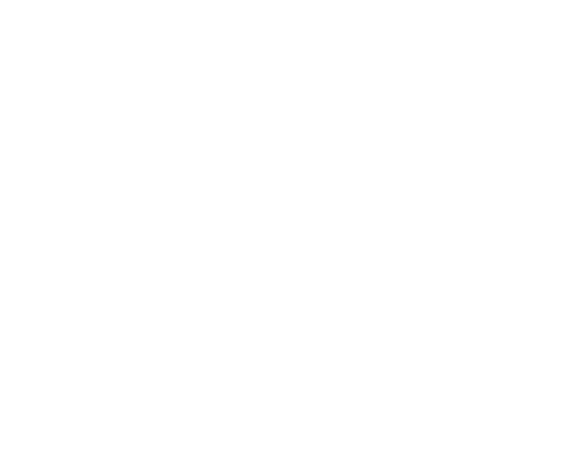 PROMPT-ARQ